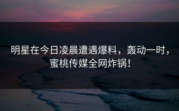 明星在今日凌晨遭遇爆料,轰动一时,蜜桃传媒全网炸锅! 明星在今日凌晨遭遇爆料,轰动一时,蜜桃传媒全网炸锅!