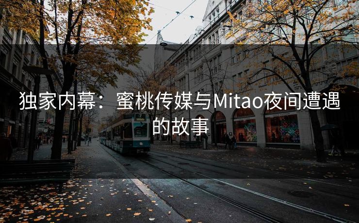 独家内幕:蜜桃传媒与Mitao夜间遭遇的故事 独家内幕:蜜桃传媒与Mitao夜间遭遇的故事