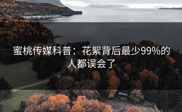 蜜桃传媒科普：花絮背后最少99%的人都误会了