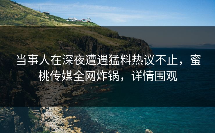 当事人在深夜遭遇猛料热议不止，蜜桃传媒全网炸锅，详情围观